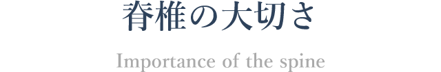 脊椎の大切さ